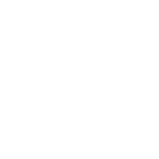 customs clearance